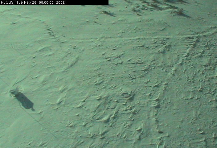 2002-02-26_080000.jpg