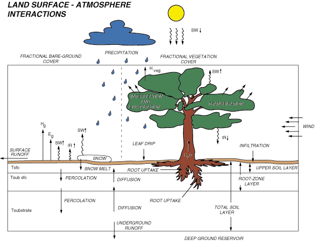 [Figure 1]