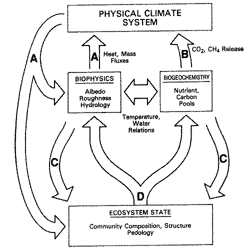 [Figure 2]