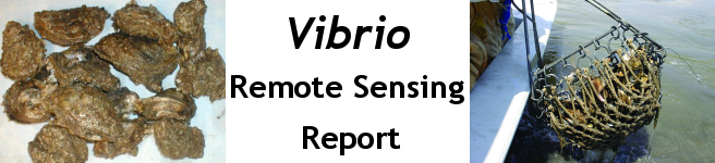Vibrio Remote Sensing Report