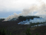 Burning of slash pile near S-Pol. (R.Rilling, Dec-2001)