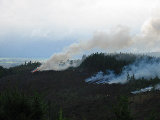 Burning of slash pile near S-Pol. (R.Rilling, Dec-2001)