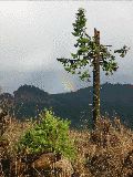 Rainbow.  Looking east from S-Pol. (R.Rilling, Nov-2001)