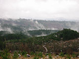 Valley fog, following a light snow shower.  Looking southeast from S-Pol (R.Rilling, 2001-Dec-04)