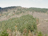 Hill to north of radar (M.Strong, Nov-2001)