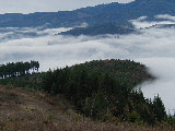 Valley fog (M.Strong, Nov-2001)