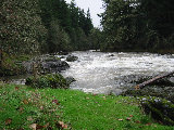 Rushing creek across the road from S-Pol entry.  Crawfordsville, OR. (R.Rilling, 2001-Dec-04)