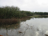 Wm Finley Wildlife Refuge panorama (image 1). (R.Rilling, Dec-2001)