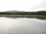 Wm Finley Wildlife Refuge panorama (image 4). (R.Rilling, Dec-2001)