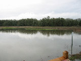 Wm Finley Wildlife Refuge panorama (image 5). (R.Rilling, Dec-2001)