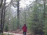Joe VanAndel heading into the trees (woods north of S-Pol). (R.Rilling, Nov-2001)