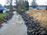 A stream near the Sweet Home Inn. (R.Rilling, Dec-2001)
